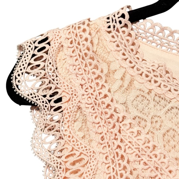 LULUS My Sweetheart Light Pink Ruffled Scalloped Lace Mini Dress - Picture 6 of 13